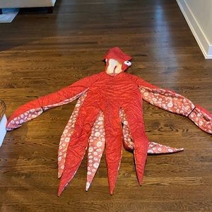 Squid costume.  Halloween.  Worn once - can be guy or girl
